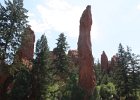 canon-pictures 454